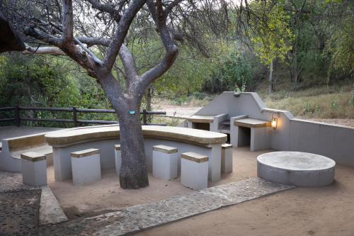 a group of benches and a tree in a park at Nyati Safari Lodge in Hoedspruit