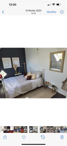 a bedroom with a bed and a mirror at CHANGÉ, 10mn LE MANS 72 in Changé