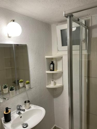 uma casa de banho com um lavatório, um chuveiro e um espelho. em Pool Guesthouse em Corinto