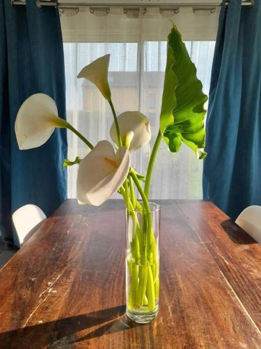 un vase avec des fleurs blanches assis sur une table en bois dans l'établissement Maison proche du Port de Dinan, à Lanvallay