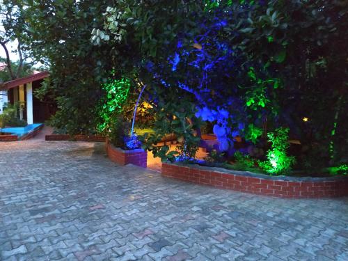 a garden with blue and green lights on it at Sigiriya Cashew Palace Resort in Sigiriya