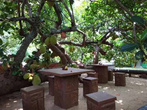 a picnic table and benches under a tree at Sigiriya Cashew Palace Resort in Sigiriya