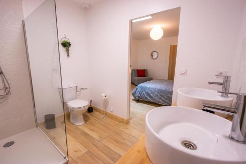 a bathroom with a sink and a toilet and a mirror at Gîte du Montagut in Thézan-des-Corbières