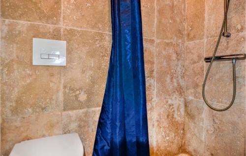 um chuveiro com uma cortina de chuveiro azul na casa de banho em 1 Bedroom Stunning Home In Villeneuve-les-avignon em Villeneuve-lès-Avignon