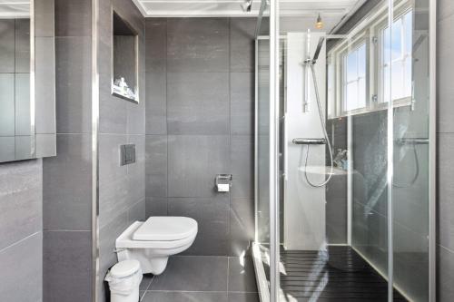 a bathroom with a toilet and a shower at Solsiden - in the center of Geilo in Geilo