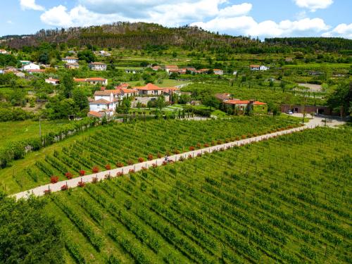 an aerial view of a vineyard and a village at Lavandeira Douro Nature & Wellness in Baião