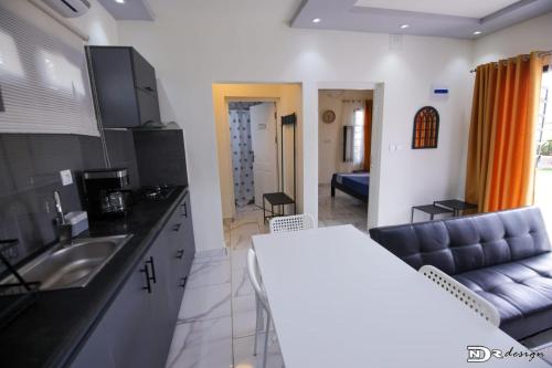 a kitchen and living room with a sink and a couch at Kalina Résidence in Mahajanga
