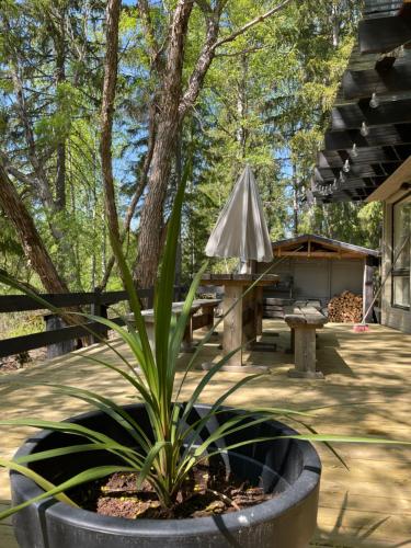 Taman di luar Mokki kesämökki