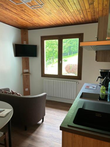 a kitchen with a counter top and a window at LA SOURCE Jacquet depuis 1954 Hôtel et Studio in Saint-Jean-de-Chevelu