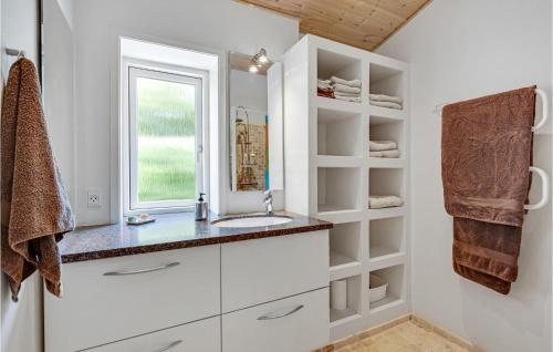 een badkamer met een wastafel en een raam bij 2 Bedroom Amazing Home In Roskilde in Roskilde