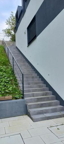 a set of concrete stairs next to a building at Duplex Holiday Apartment in Škofljica