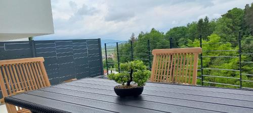 a wooden table with a potted plant on a balcony at Duplex Holiday Apartment in Škofljica