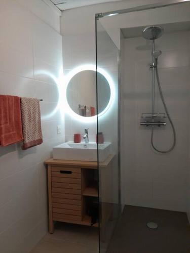 une salle de bain avec un lavabo et une douche avec un miroir dans l'établissement Le cité d'or, à Dijon