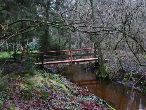 a red bridge over a stream in a forest at Ferienwohnung Niemann in Lutterloh in Unterlüß