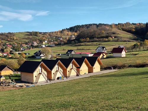 a group of houses on a hill with a field at Motylowe Wzgórze Apartamenty Zawóz in Zawóz