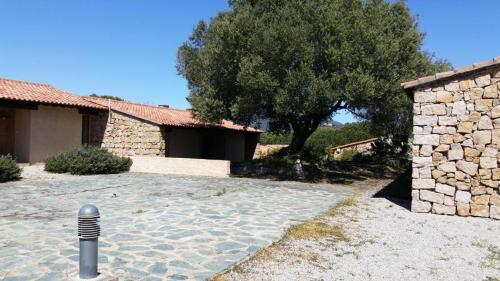 a yard with a stone building and a tree at MAISON ALBA ROSSA 55 in Serra-di-Ferro