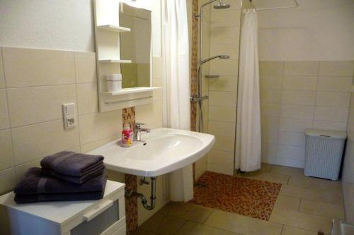 a bathroom with a sink and a shower at Schröderhof in Unterlüß