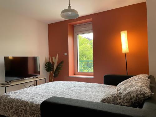 a bedroom with a bed and a tv and a window at Studio Le Cilaos, au cœur de Castres in Castres