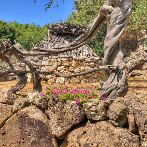 a stone wall with pink flowers on top of it at Goloritzè Room and Breakfast in Baunei