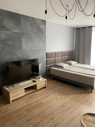 a bedroom with a bed and a tv and a table at Apartamenty in Miechów