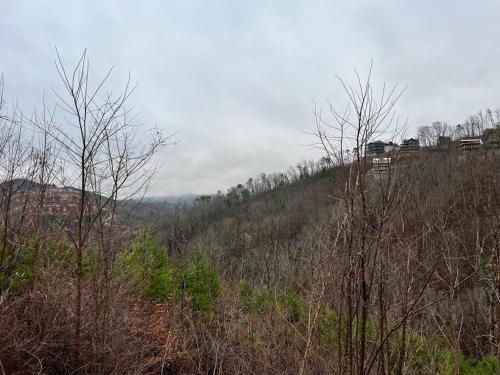 a view of a hill with trees and buildings at * * 4 Master Bedrooms, Views, Theater, Arcade, EVC in Gatlinburg