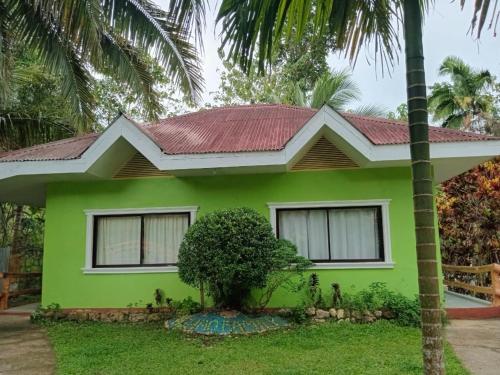 une maison verte avec un palmier en face dans l'établissement AGHAO MIDGREENS RESORT, 