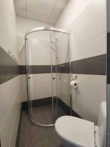 a bathroom with a shower and a toilet at Hotel Slobi in Štúrovo