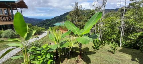 Lado Natura – Photos 5