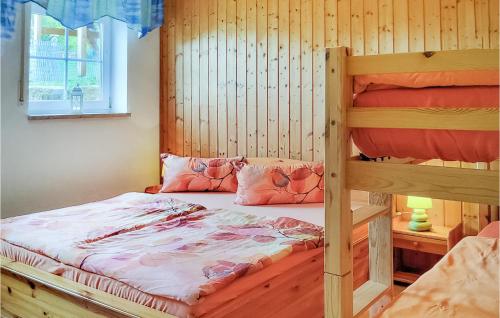 1 Schlafzimmer mit 2 Etagenbetten und einem Fenster in der Unterkunft Pet Friendly Apartment In Bad Schandau-kleing, With Wifi in Kleingießhübel