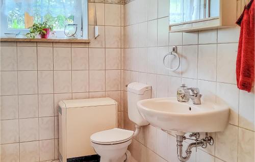 a bathroom with a toilet and a sink at Pet Friendly Apartment In Bad Schandau-kleing, With Wifi in Kleingießhübel