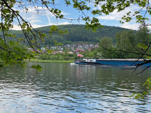 a boat on a river with a town in the background at Bike Lodge Spessart in Lohr