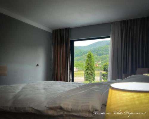 a bedroom with a bed and a large window at Pensiunea White Department in Vlădeşti
