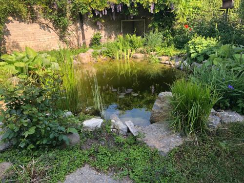 Jardín al aire libre en Apartmán U jezírka