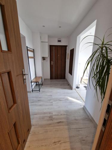 un couloir vide avec une porte et une installation dans l'établissement Przytulny apartament + siłownia, à Bytom
