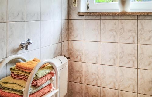 a pile of towels on a towel rack in a bathroom at Cozy Apartment In Bad Schandau- Kleing, With Wifi in Kleingießhübel