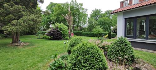 a yard with bushes and trees and a house at Villa Kunterbunt, Gemütlichkeit am Waldesrand in Drangstedt
