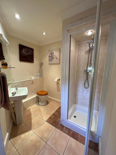 een badkamer met een douche, een toilet en een wastafel bij Georgian House Hotel in Derby