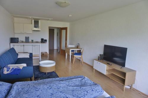 ein Wohnzimmer mit einem Sofa und einem TV sowie eine Küche in der Unterkunft Appartement Traumblick in Bad Reichenhall