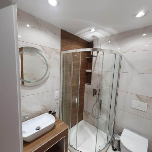 a bathroom with a shower and a sink at Agroturystyka Koronkowe Zacisze in Koniaków