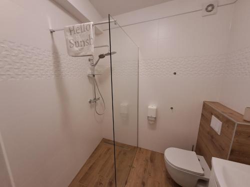 a bathroom with a toilet and a glass shower stall at Sobe MaMaLu in Valun
