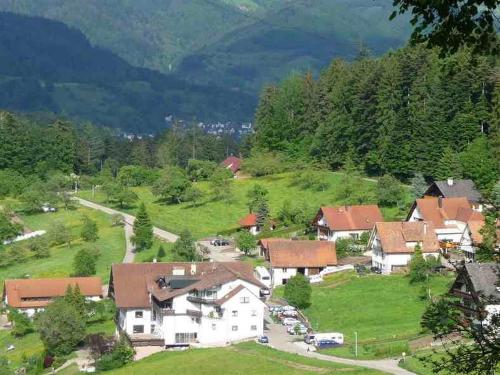 an aerial view of a village with houses and trees at Grüner Ausblick in Oberkirch