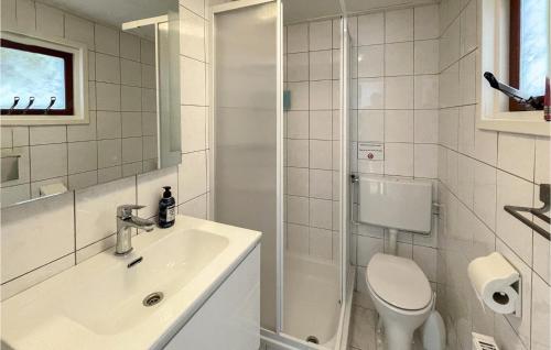 een badkamer met een wastafel, een toilet en een douche bij 2 Bedroom Lovely stacaravan In Epe in Epe