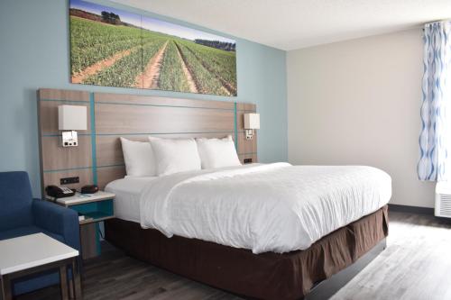 a bedroom with a bed and a painting of a vineyard at Clarion Pointe Vidalia - Lyons West in Vidalia