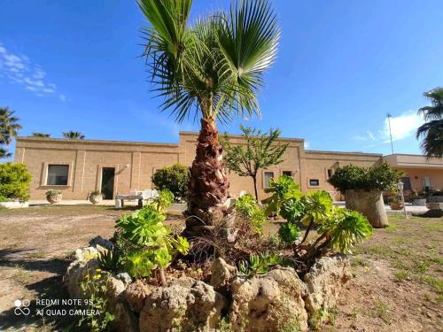 Κήπος έξω από το Masseria Don Egidio