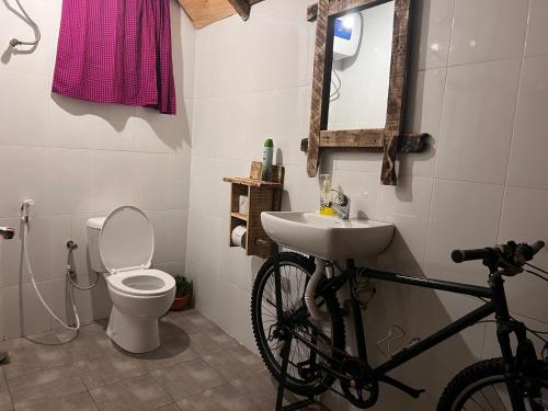 a bathroom with a toilet and a bicycle in it at Serengeti Villa in Arusha