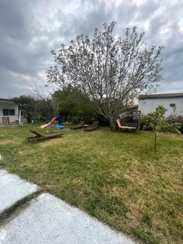 a yard with a tree and a kite in the grass at LION VILLAGE in Skala Fourkas