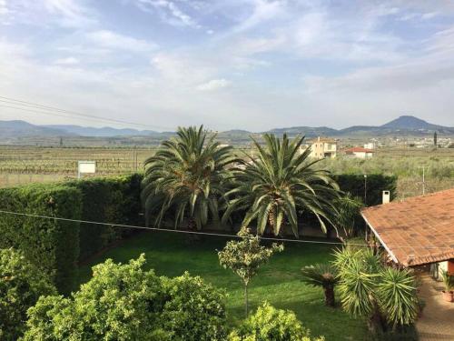 a view of a yard with palm trees and a house at Villa Zose' luz in Káto Ássos