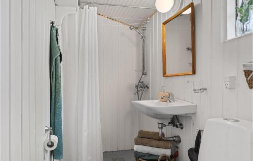 y baño blanco con lavabo y ducha. en 3 Bedroom Beautiful Home In Jgerspris en Jægerspris