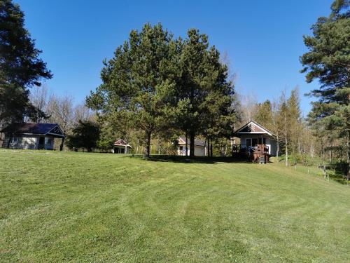 a large grassy field with a house in the background at Līdumnieki in Vērgale