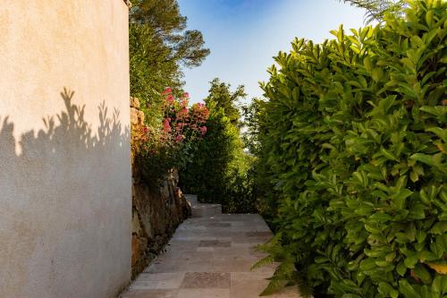 a garden path with green bushes next to a wall at Appartement Villa d'Aurore in Le Rouret